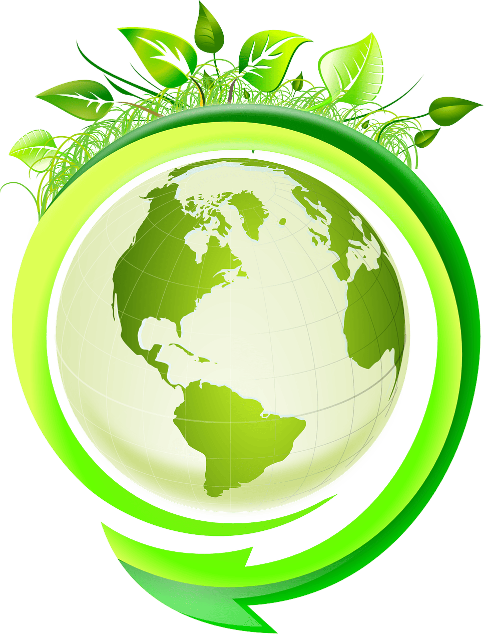 découvrez l'écologie, une science essentielle pour comprendre les interactions entre les êtres vivants et leur environnement. explorez des solutions durables et engagez-vous pour la protection de notre planète.