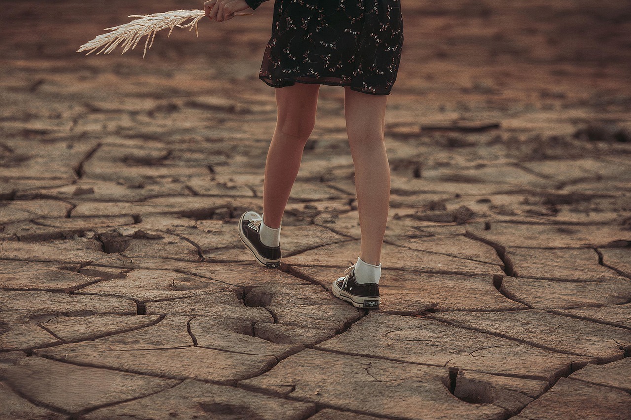 découvrez les causes, impacts et solutions face au changement climatique. informez-vous sur les enjeux environnementaux actuels et les actions possibles pour protéger notre planète.