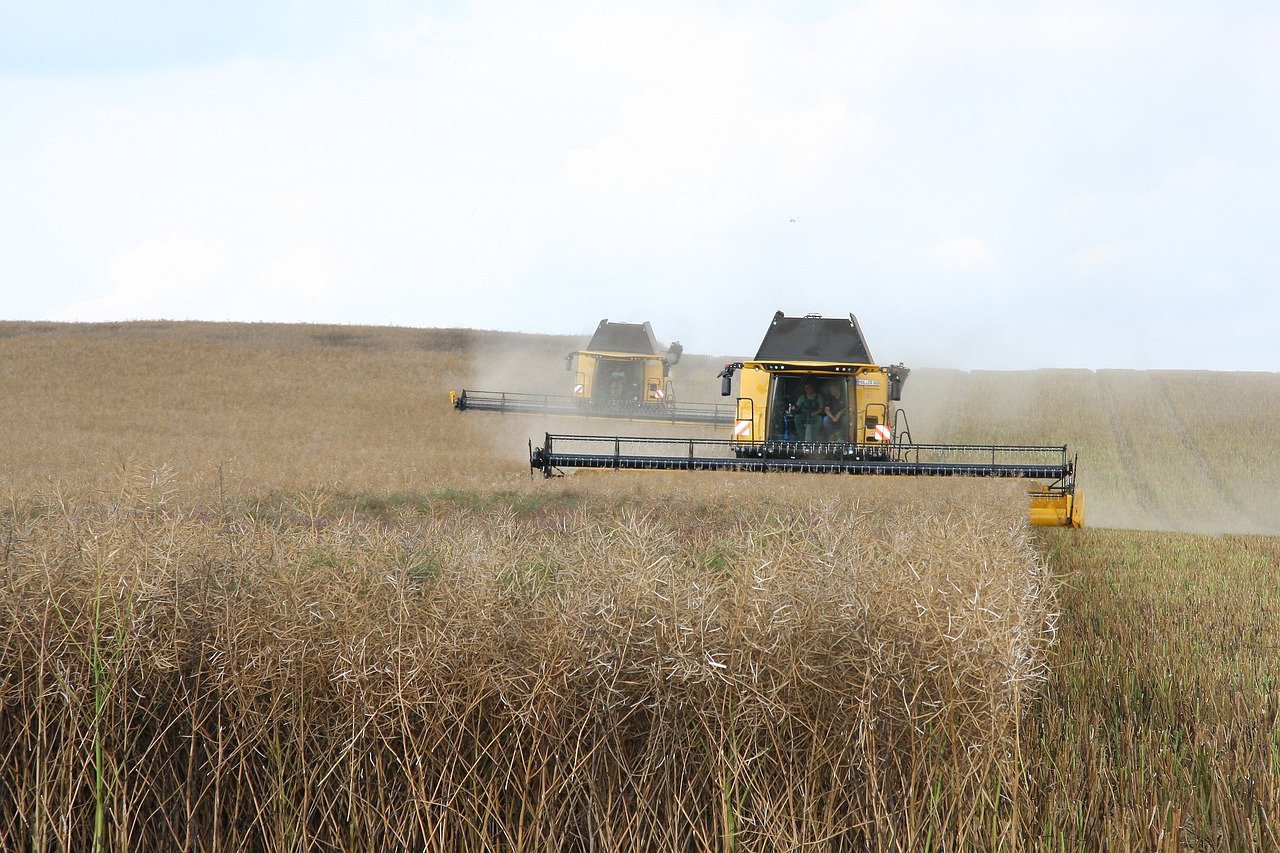 découvrez les pratiques de l'agriculture durable qui préservent l'environnement tout en garantissant une production alimentaire saine. apprenez comment ces méthodes innovantes contribuent à la protection des ressources naturelles et au bien-être des générations futures.