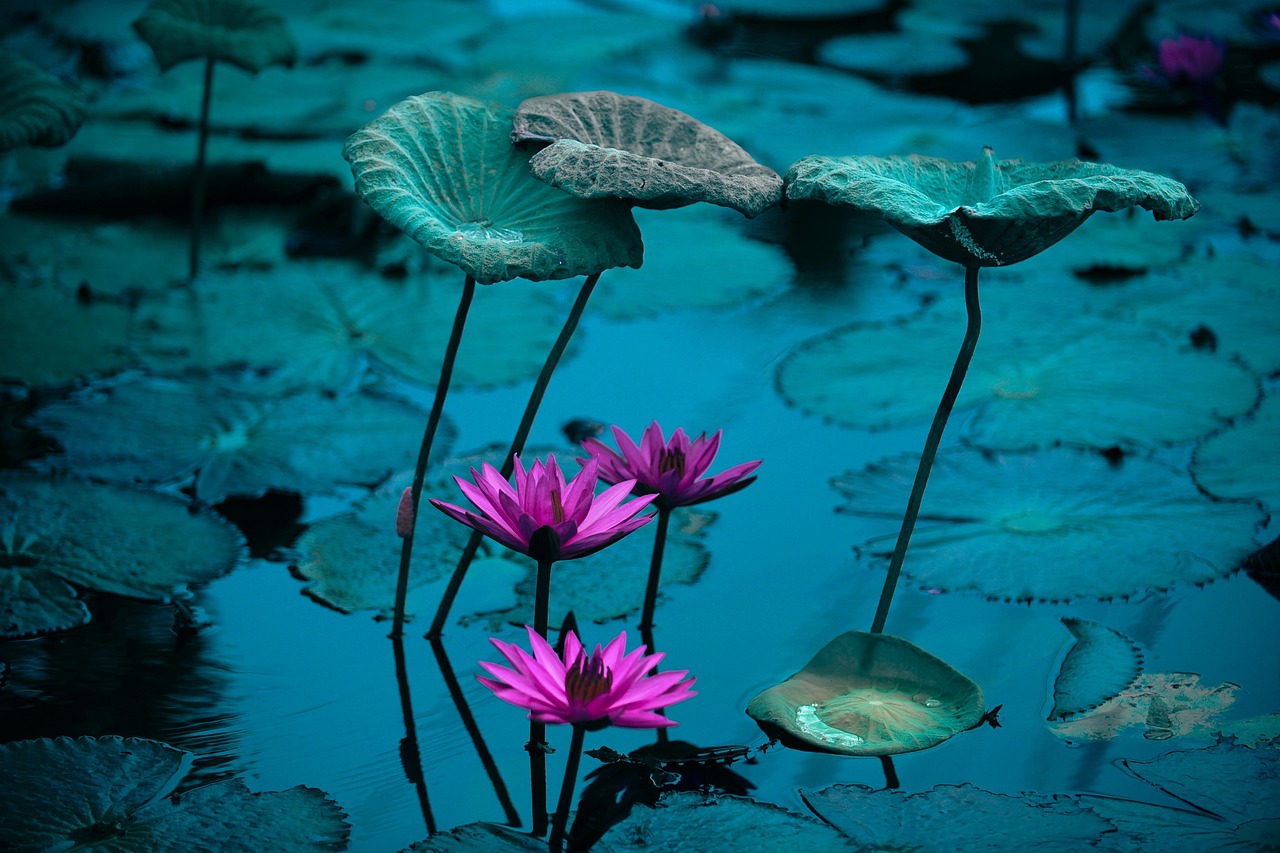 découvrez notre jardin tropical luxuriant, un paradis exotique rempli de plantes vibrantes et de paysages apaisants, idéal pour se détendre et échapper au quotidien.