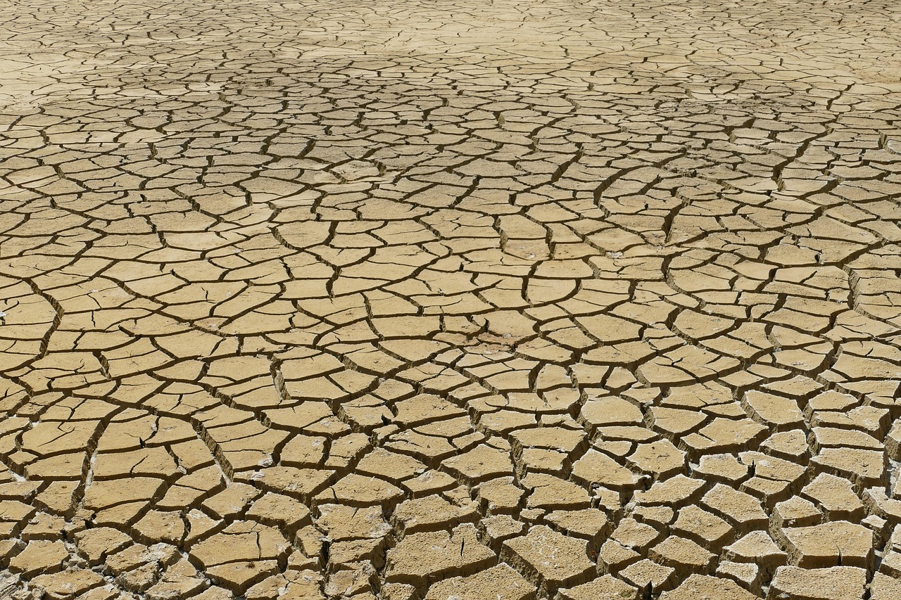 découvrez les stratégies et solutions pour l'adaptation aux changements climatiques, afin de protéger les communautés et les écosystèmes face aux défis environnementaux.