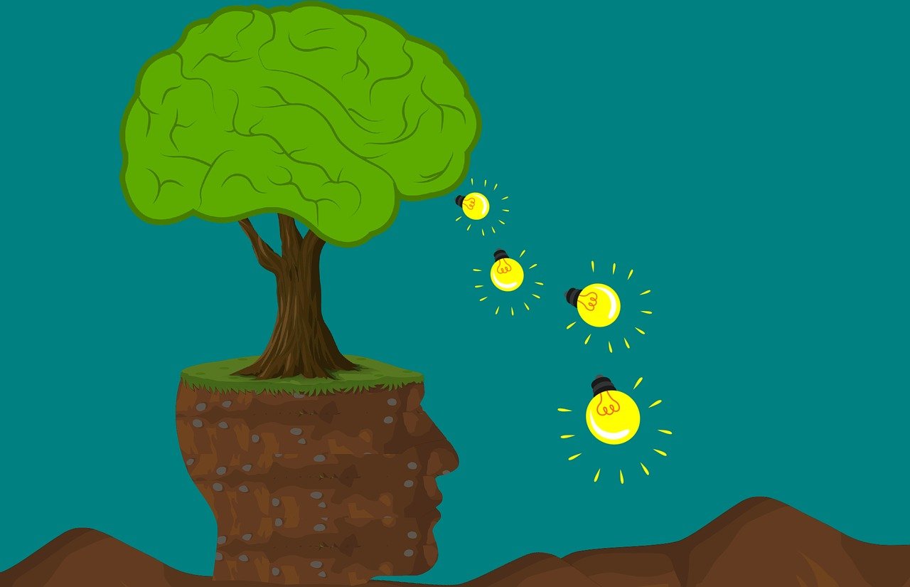 découvrez l'importance de l'éducation environnementale pour sensibiliser les générations futures aux enjeux écologiques. apprenez comment intégrer des pratiques durables dans votre quotidien et contribuer à un avenir plus vert.