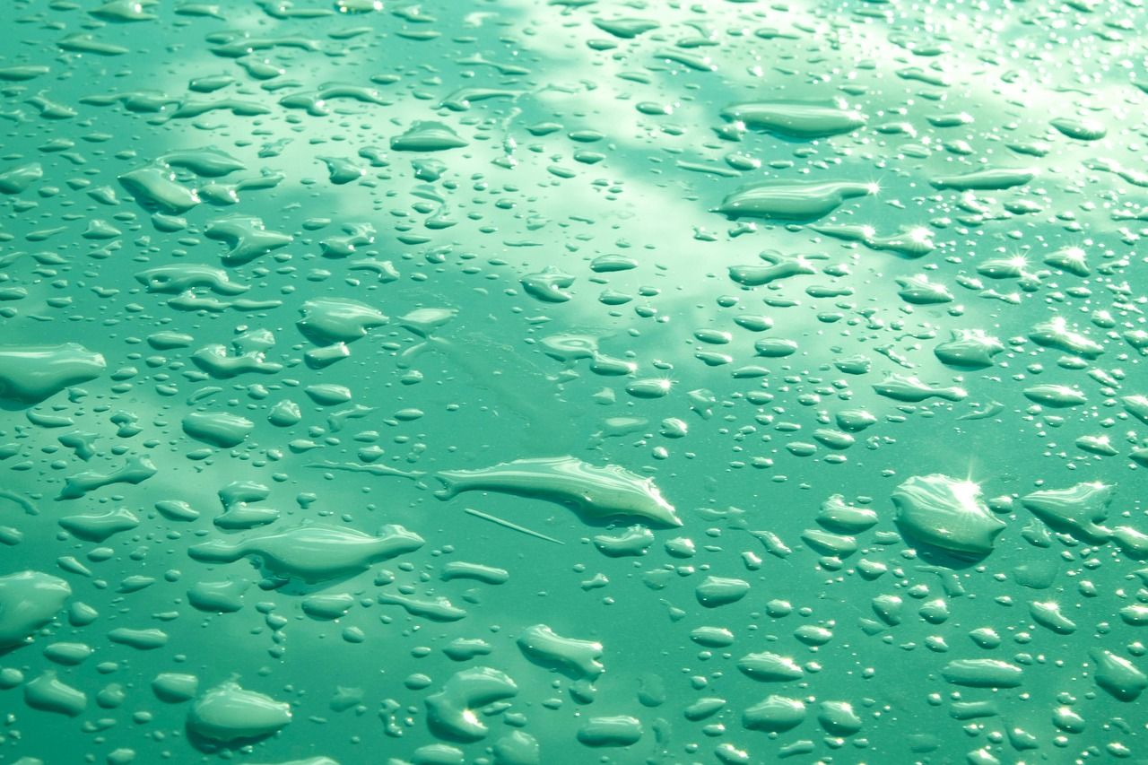 découvrez tout sur l'eau : ses propriétés, son importance vitale, ses usages et son impact sur notre environnement.