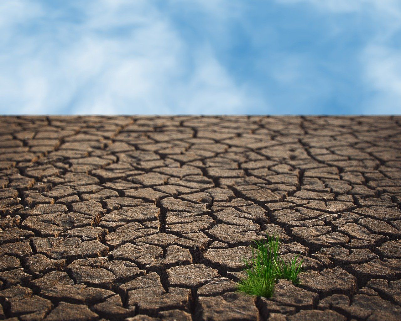 découvrez l'impact du changement climatique sur notre planète, ses causes, et les solutions durables que nous pouvons adopter pour préserver notre environnement pour les générations futures.