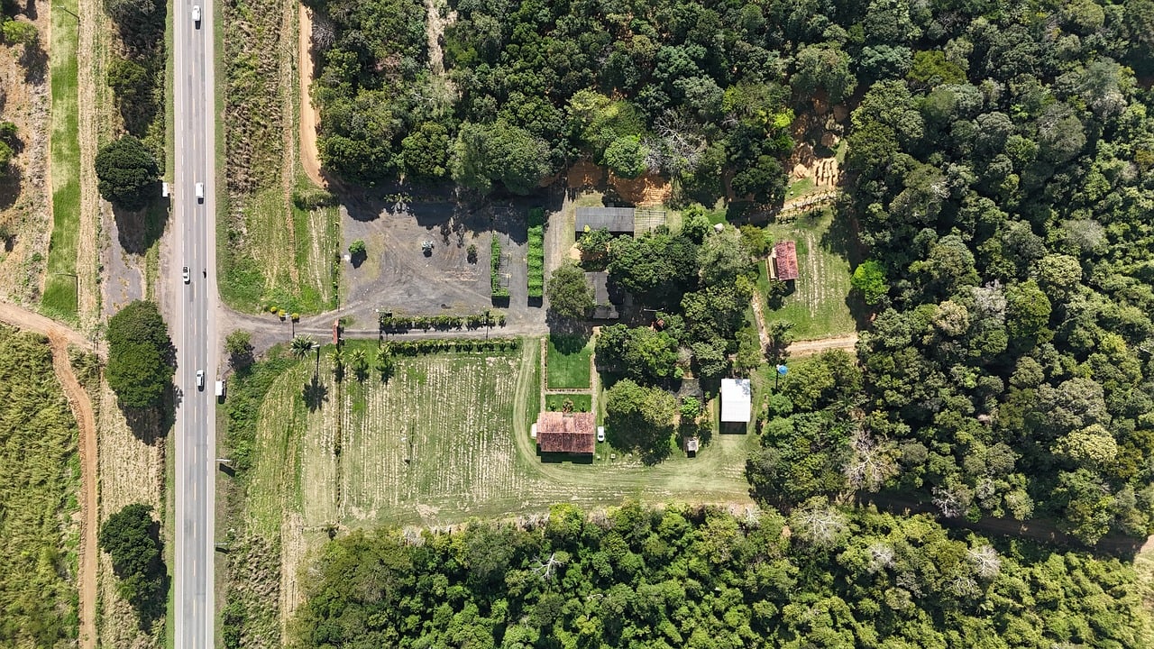 découvrez l'éducation environnementale : sensibilisation, protection de la nature et actions durables pour un avenir responsable.