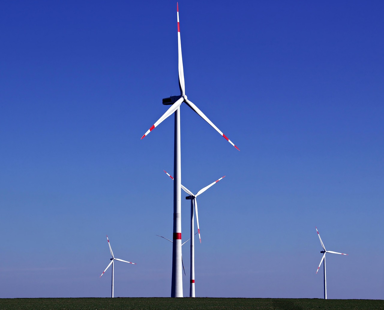découvrez les enjeux et les actions clés de la transition écologique pour un avenir durable et respectueux de l'environnement.