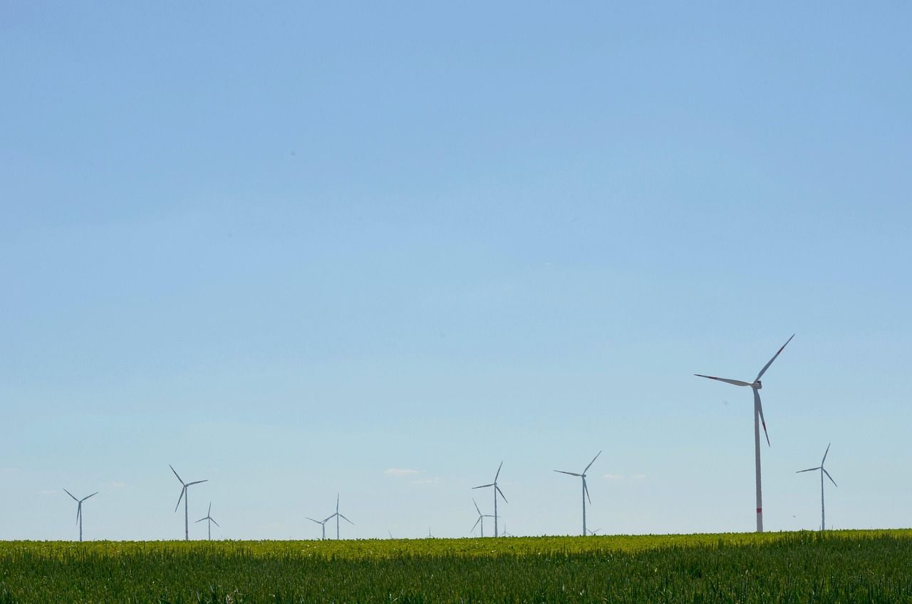 explorez les enjeux et solutions de la transition écologique pour un avenir durable et respectueux de l'environnement.