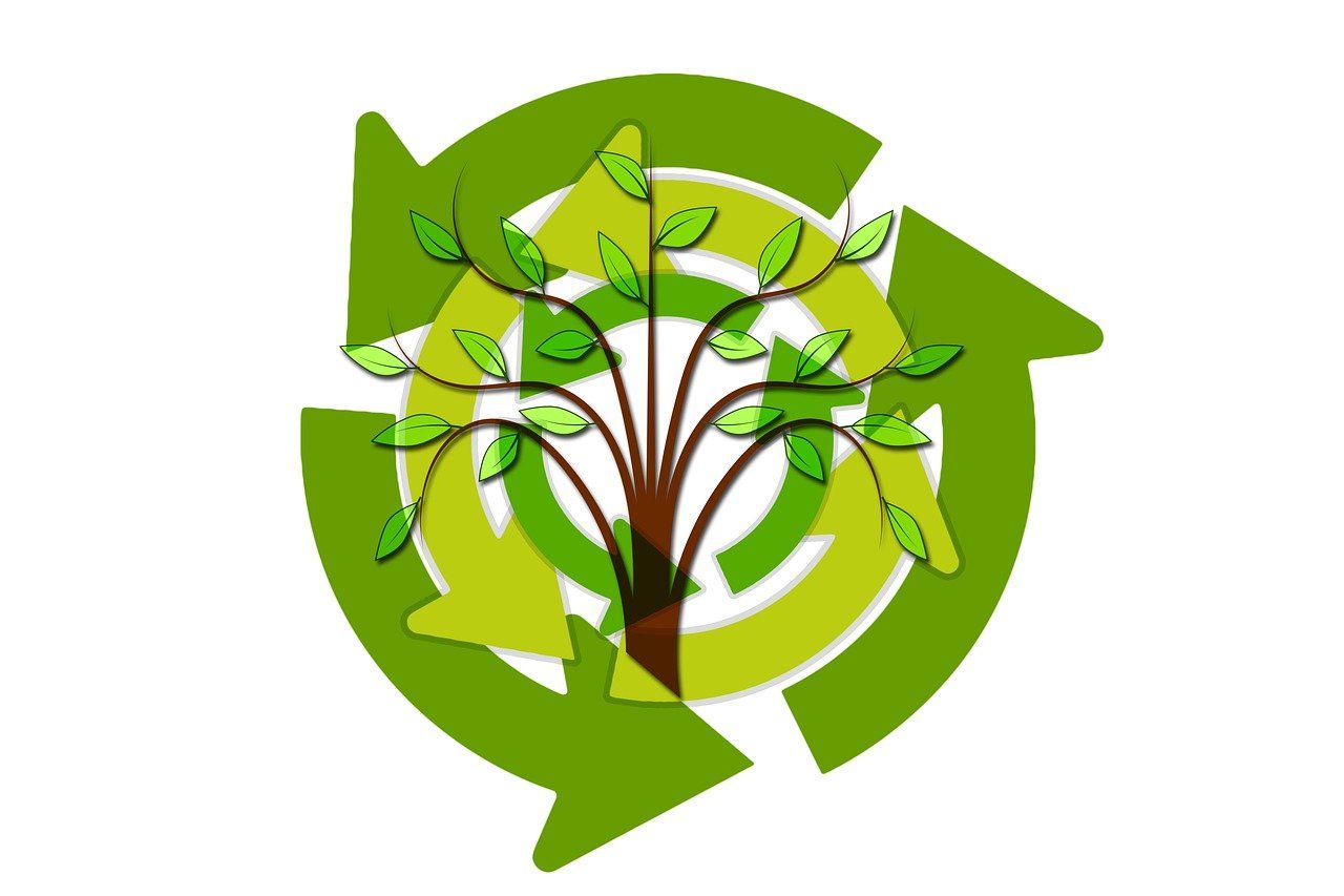 découvrez comment adopter des pratiques durables pour un avenir meilleur. explorez des astuces et des conseils sur la durabilité, les ressources écologiques et l'importance de préserver notre planète.