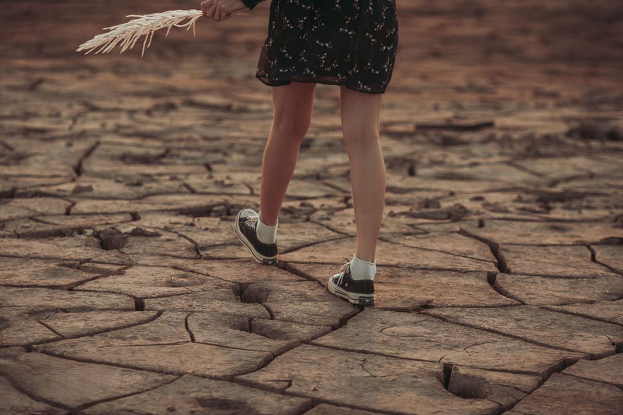 découvrez les enjeux du changement climatique, ses impacts sur notre planète et les actions indispensables pour préserver notre avenir.