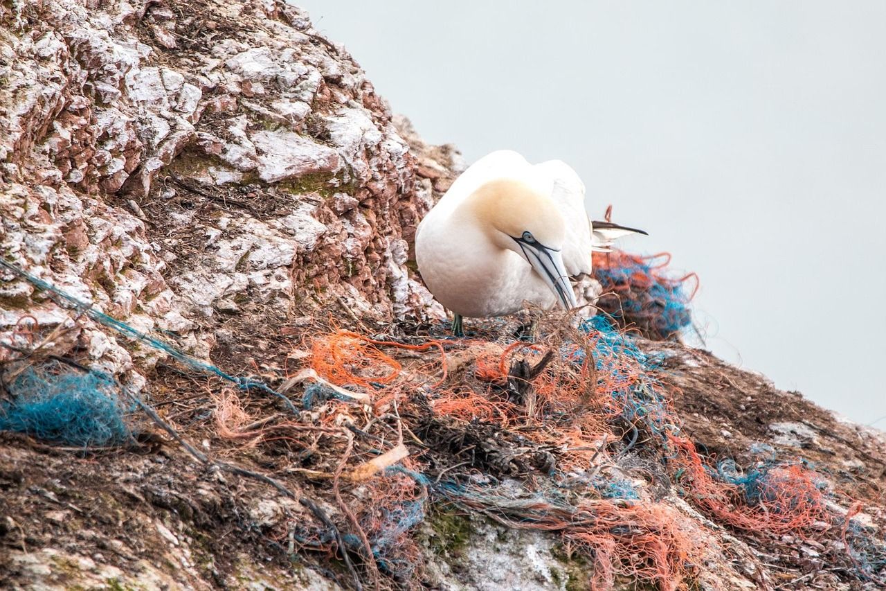 découvrez les impacts de la pollution plastique sur l'environnement et les solutions pour réduire cette menace mondiale.