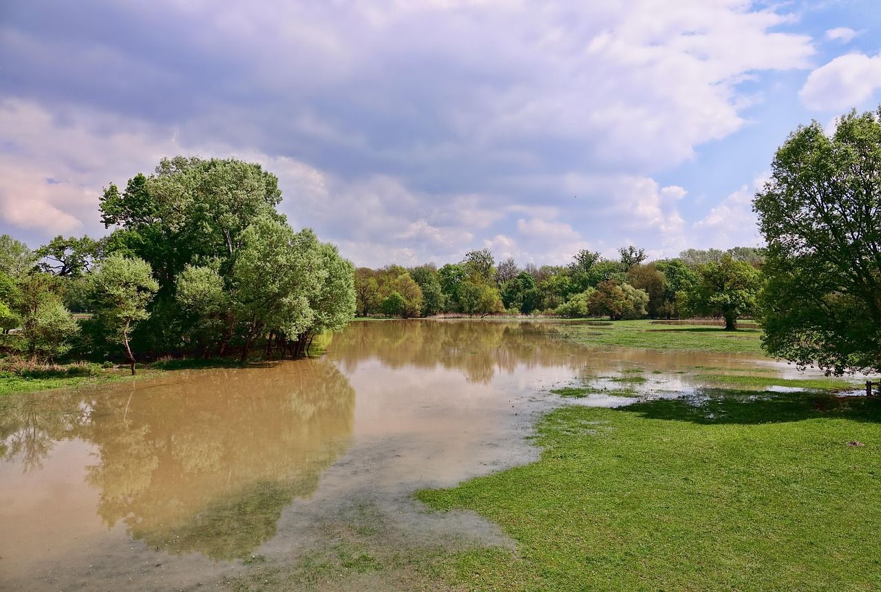 découvrez les causes et les conséquences des inondations, ainsi que les mesures de prévention et de préparation pour faire face à ce phénomène naturel. informez-vous sur les impacts environnementaux et sociétaux, et explorez les solutions durables pour lutter contre les inondations.