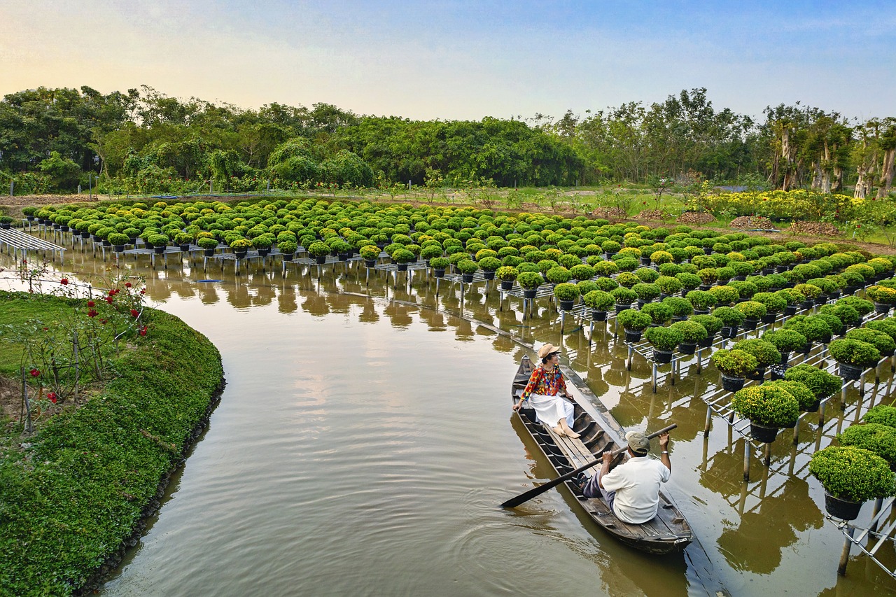 découvrez l'importance de la plantation d'arbres pour l'environnement. rejoignez-nous dans nos initiatives de reforestation et apprenez comment vous pouvez contribuer à la lutte contre le changement climatique par des actions simples et efficaces.
