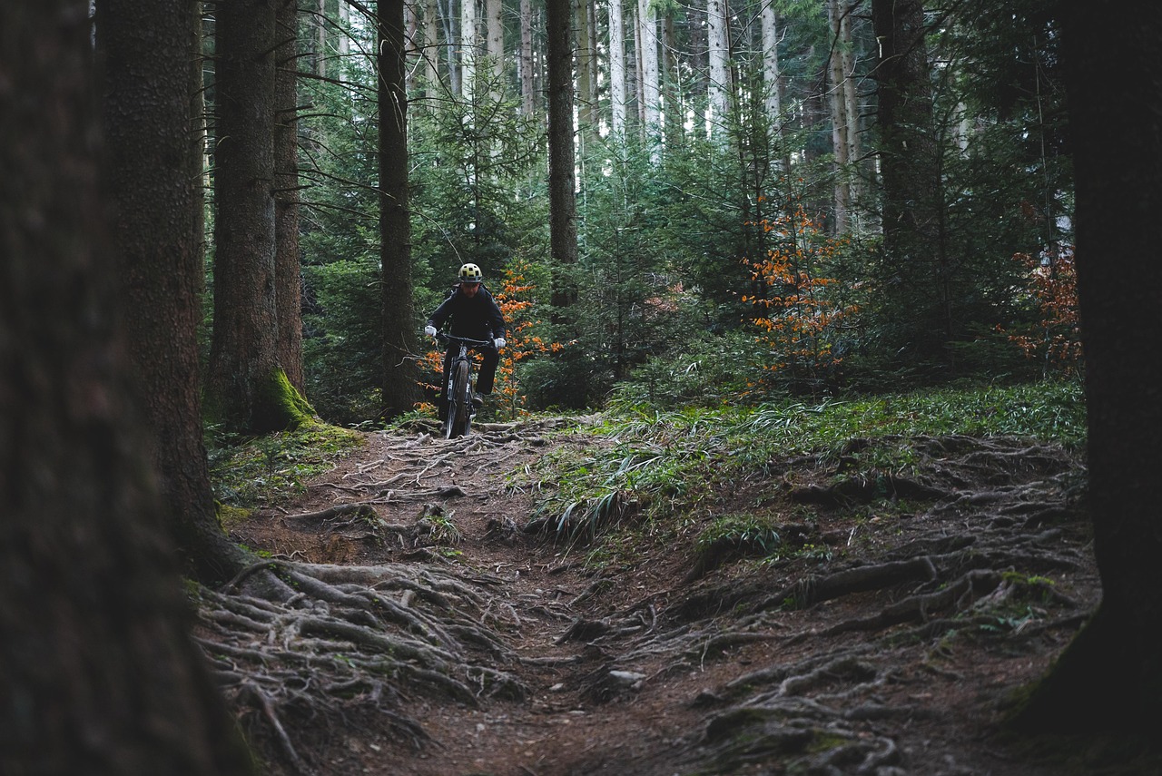 découvrez tout sur le cyclisme : conseils, équipements, itinéraires et astuces pour améliorer vos performances à vélo.