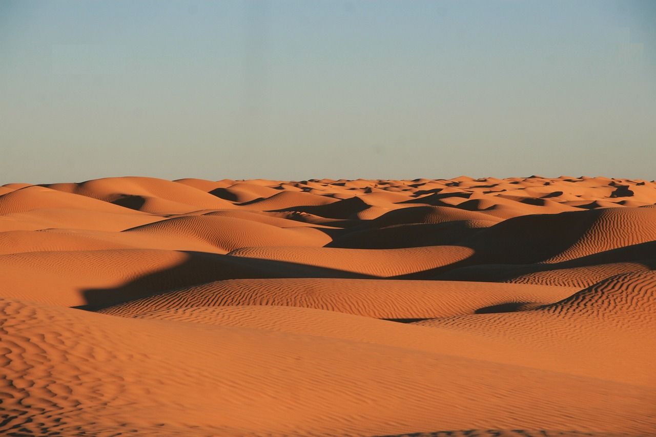 découvrez les initiatives et les stratégies de la tunisie pour une transition écologique durable, favorisant la protection de l'environnement et le développement économique responsable.