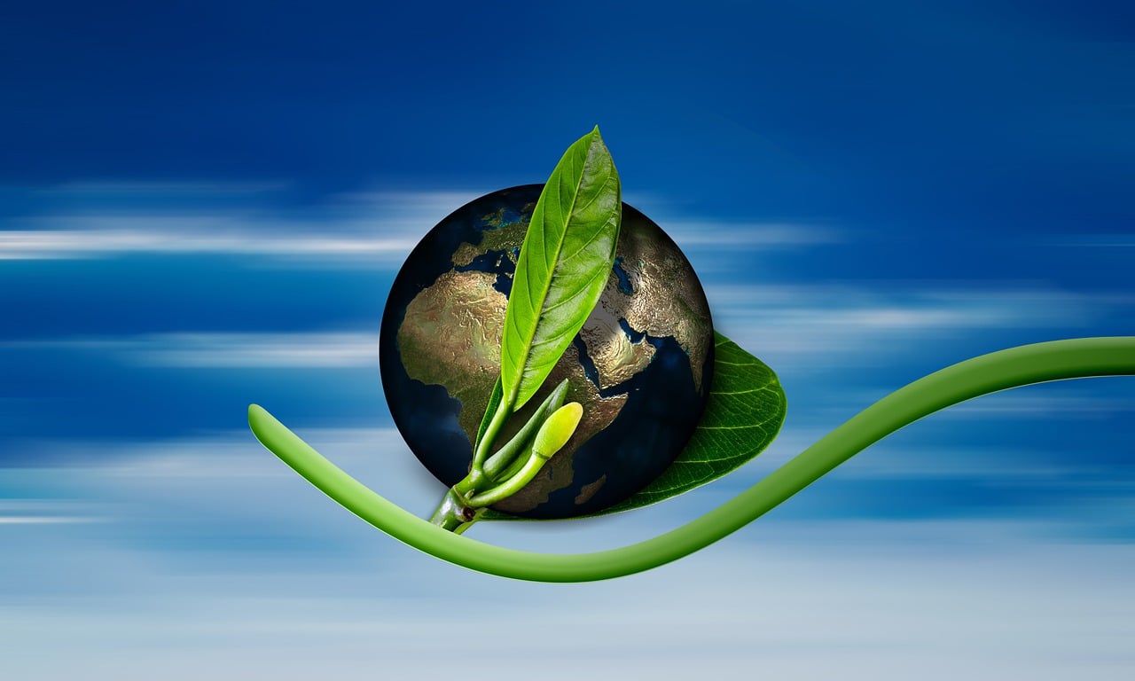 découvrez les enjeux liés au climat, les changements environnementaux et les initiatives pour un avenir durable. informez-vous sur l'impact du réchauffement climatique et les solutions pour préserver notre planète.