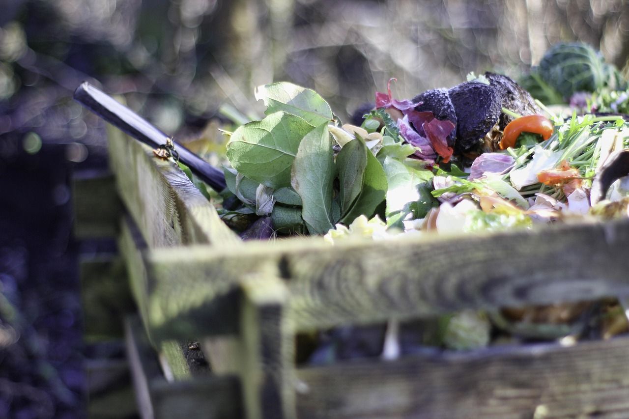 découvrez les meilleures astuces et méthodes pour composter efficacement vos déchets organiques et réduire votre impact environnemental.