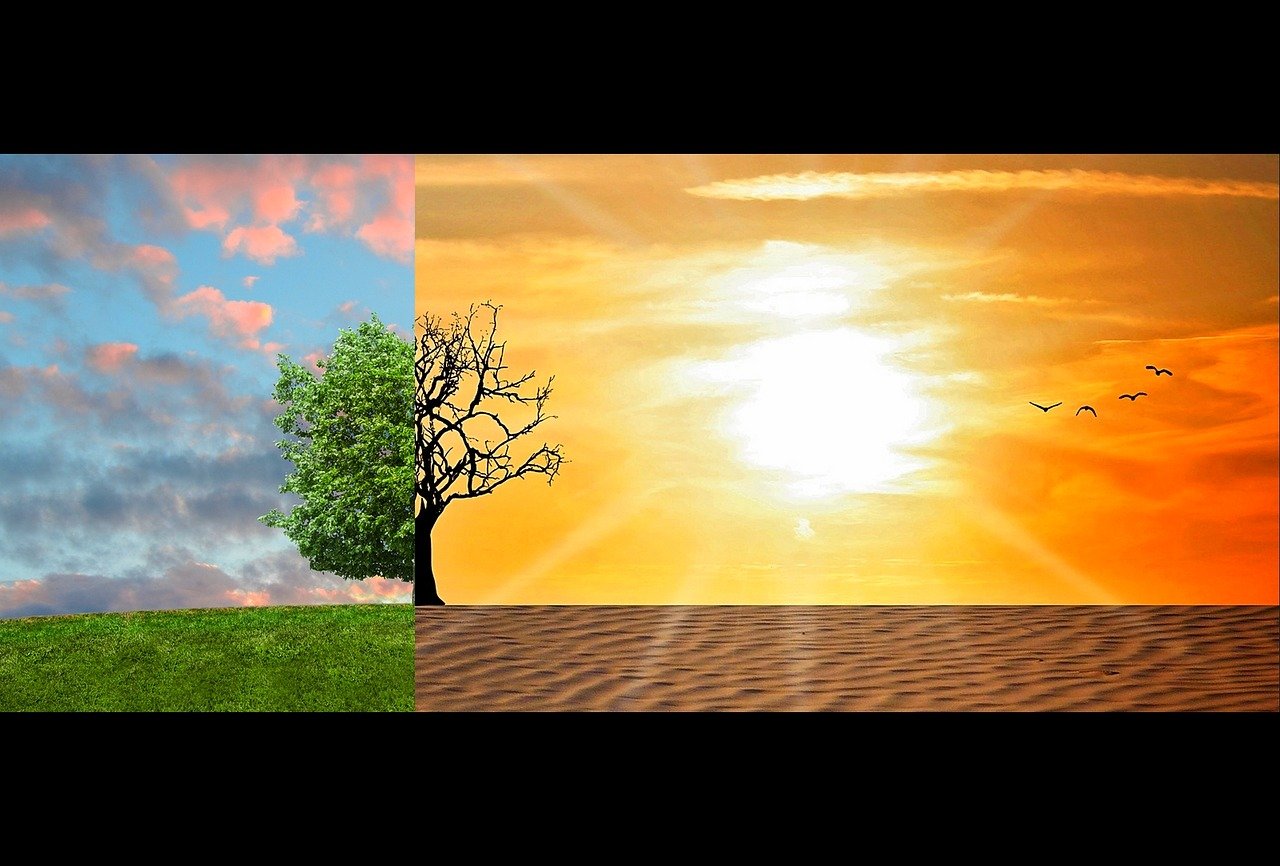 découvrez les enjeux du changement climatique, ses impacts sur notre planète et les actions à entreprendre pour un avenir durable. informez-vous sur les solutions pour atténuer les effets du réchauffement climatique et protéger notre environnement.