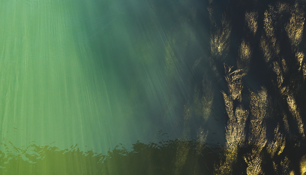 découvrez tout sur l'eau : ses propriétés, son importance vitale, ses usages quotidiens et son impact sur notre planète.