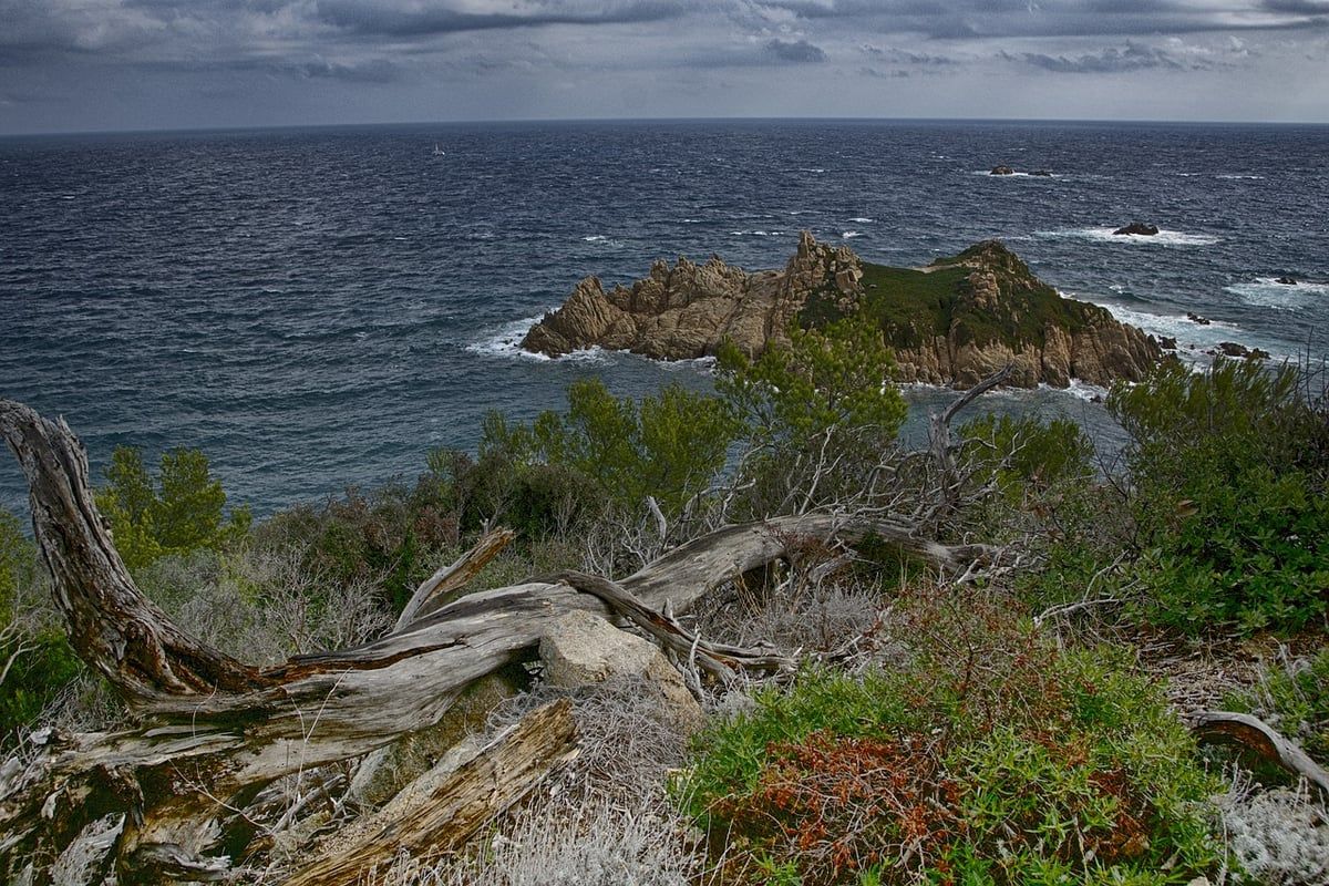 Climat : comment le suivi des océans pourrait révolutionner la prévision des vagues de chaleur humide