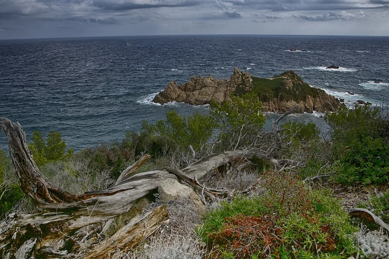 Climat : comment le suivi des océans pourrait révolutionner la prévision des vagues de chaleur humide
