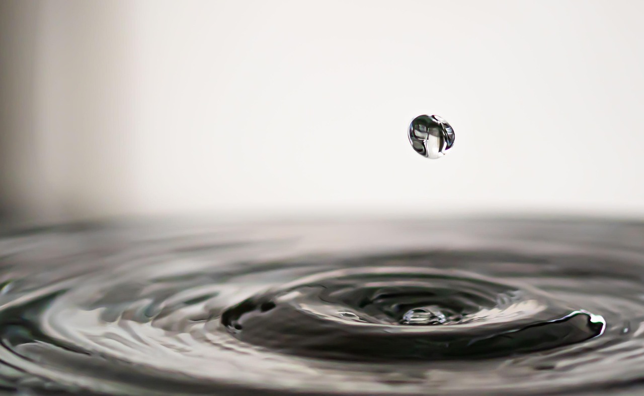 « L’eau, bien précieux et unique : mobilisation contre le projet controversé de mégabassine »
