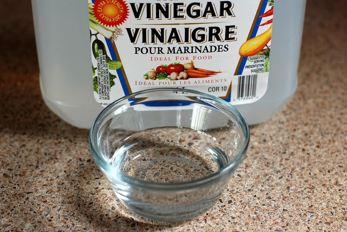 Produits ménagers écologiques : Tout savoir pour un entretien efficace et responsable de votre maison