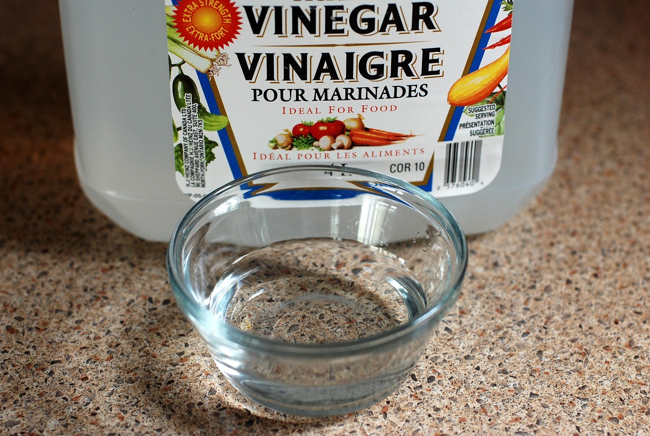Produits ménagers écologiques : Tout savoir pour un entretien efficace et responsable de votre maison