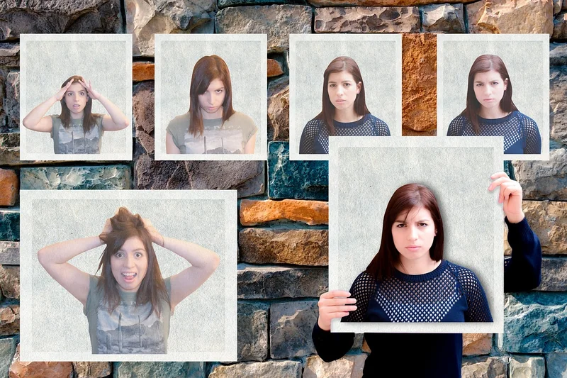 Le cerveau face au changement linguistique