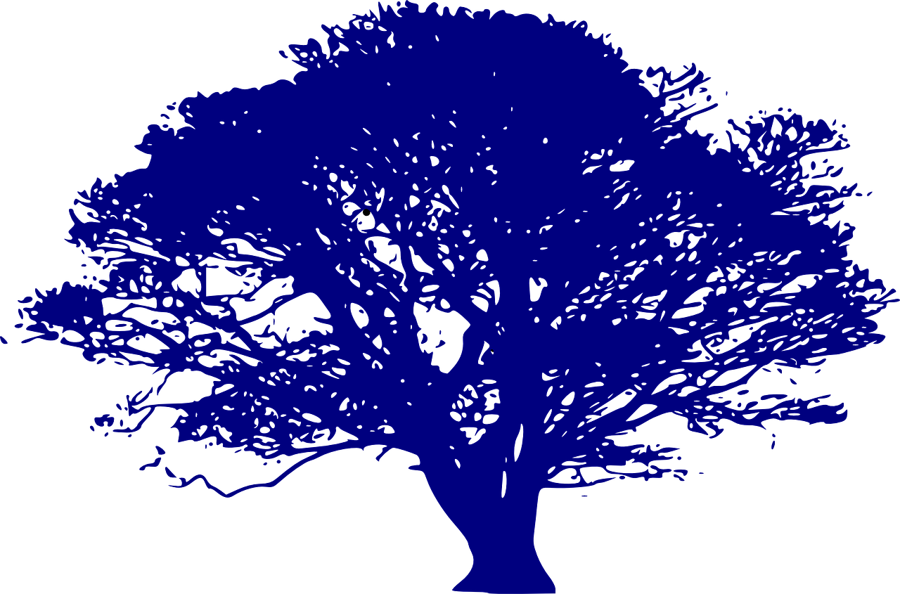 Optimiser la gestion des ressources pour un développement durable