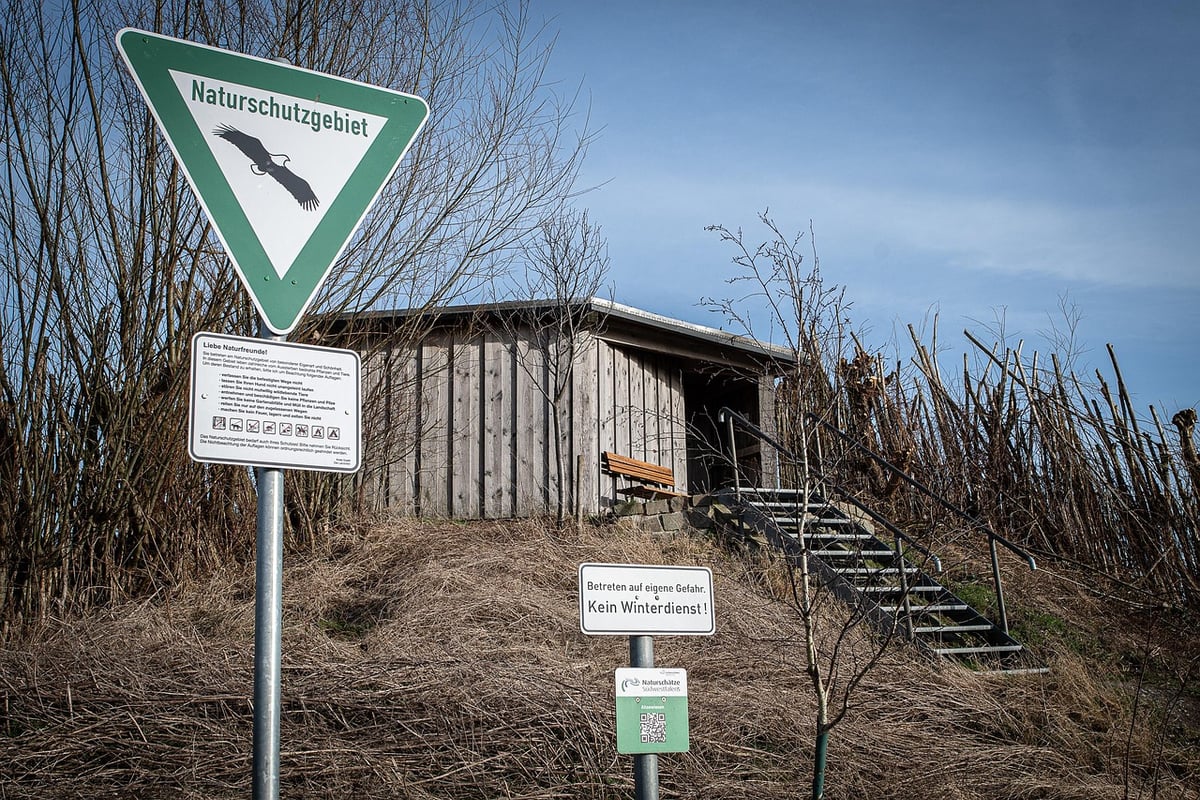 Green Afia Magazine : Placer l’éducation environnementale au cœur de sa mission – Entretien avec Hervé Mukulu