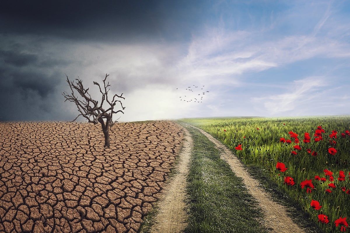 Les défenseurs du climat et de l’environnement plongent dans le grand blues face à des reculs alarmants