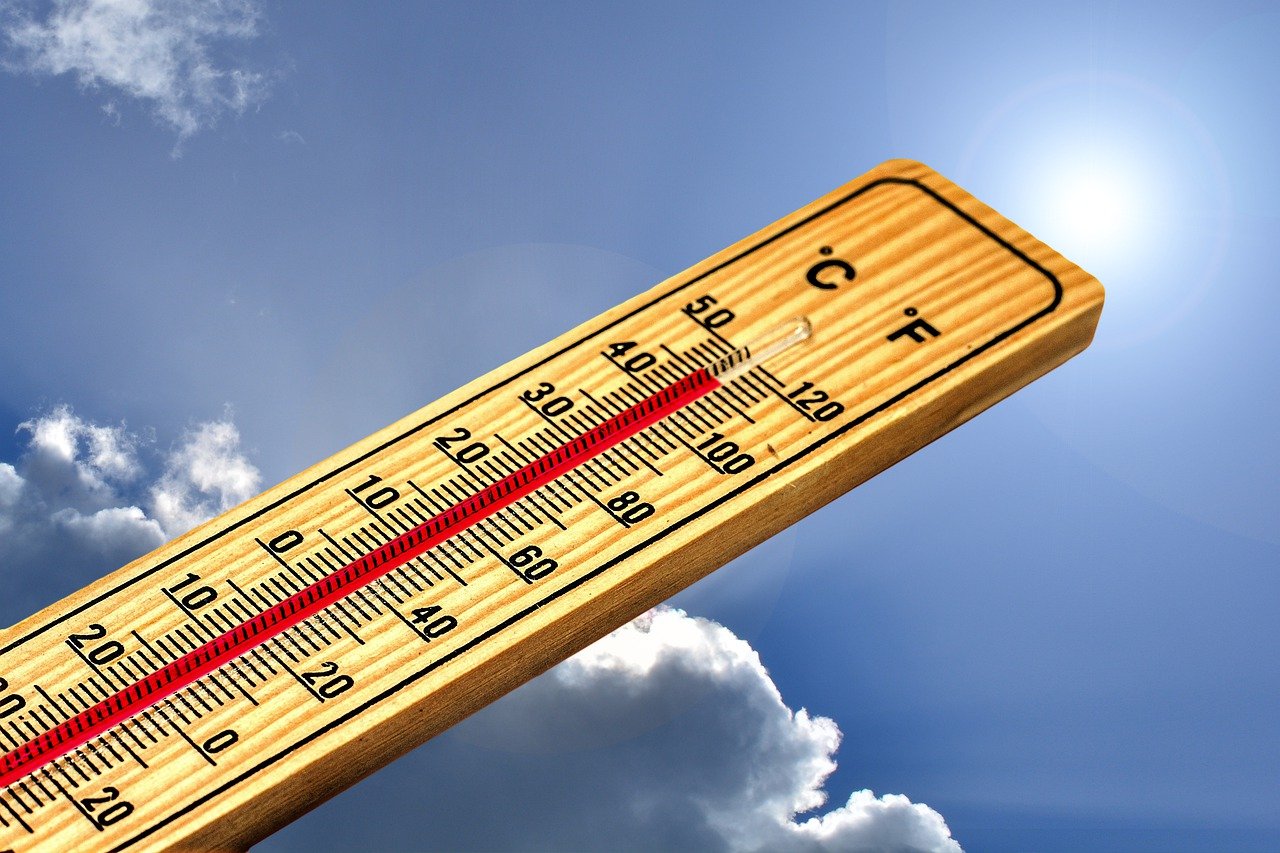 État du climat en Europe : des événements extrêmes lors de la flambée de chaleur record