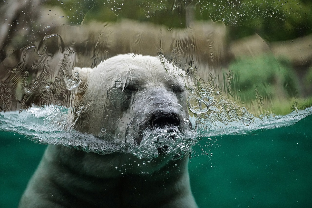 Le Réseau Action Climat exhorte le gouvernement Barnier à placer l’écologie au cœur des priorités nationales