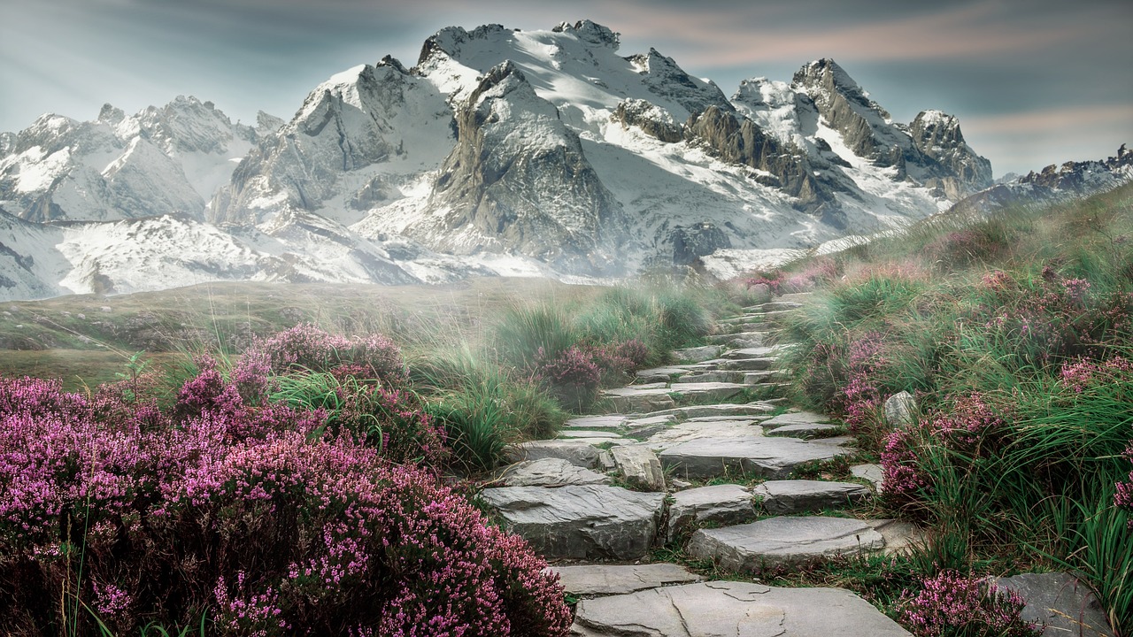 Sensibilisation au recyclage : Conseils pour une meilleure pratique
