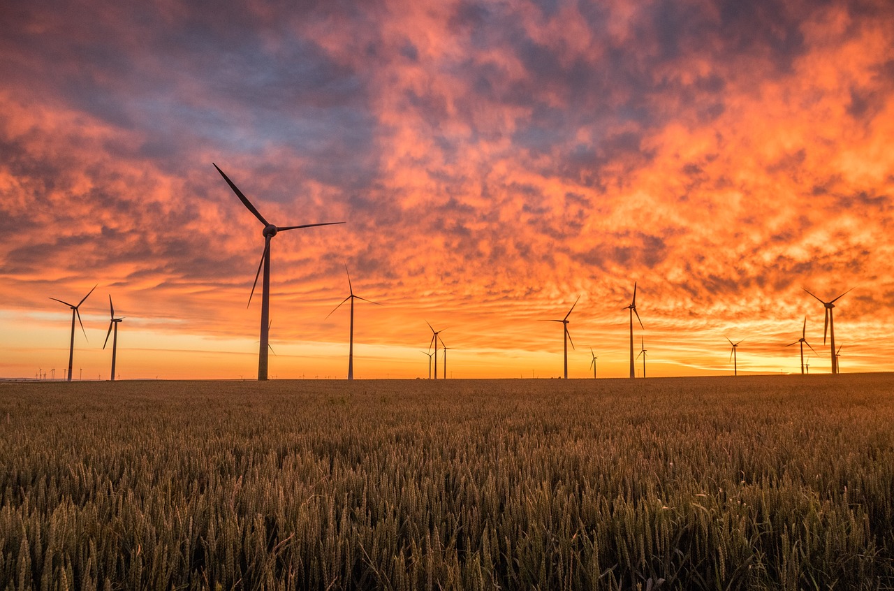Les énergies vertes : un avenir durable pour notre planète