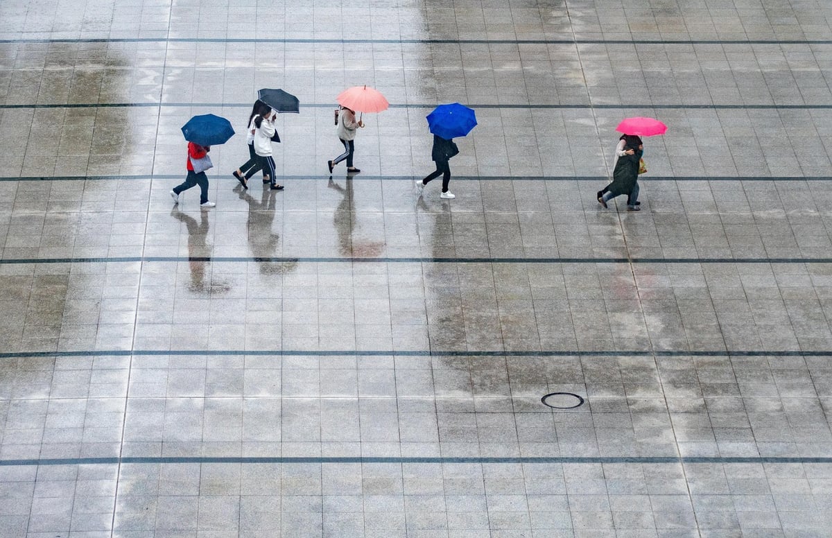 Revivez le Journal Météo Climat : Vos prévisions et actualités en replay