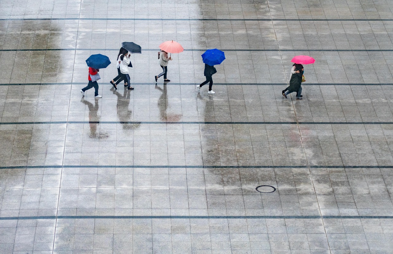 Revivez le Journal Météo Climat : Vos prévisions et actualités en replay