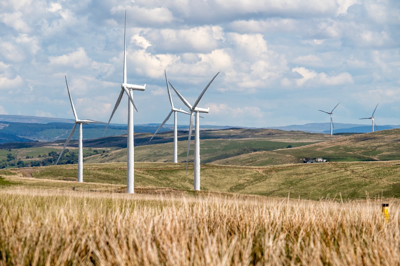 Ressources renouvelables : Les clés d’une transition énergétique réussie