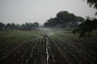 Lure : un contrat « Eau et Climat » de 7,4 millions d’euros pour garantir la pérennité des ressources en eau