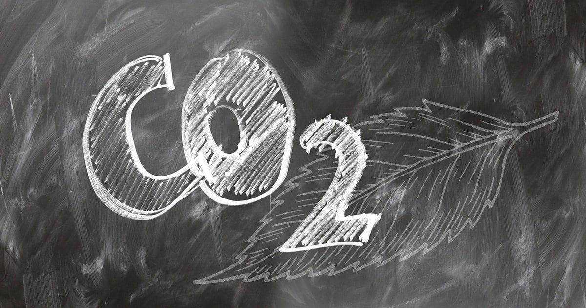 Les tableaux de bord sur l’action climatique des conseils mettent en lumière une progression modérée vers la neutralité carbone