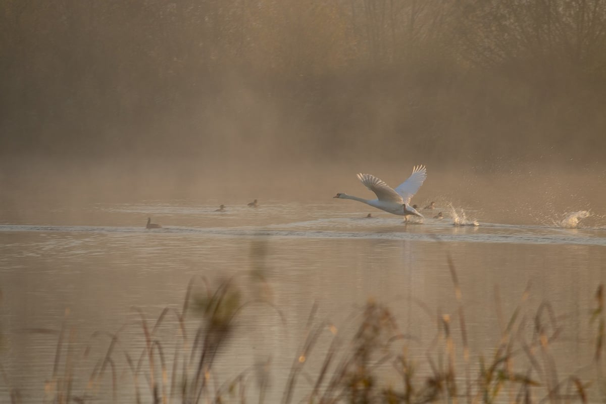 Quarante ans de dérive des rivières atmosphériques : un signal d’alarme pour le climat