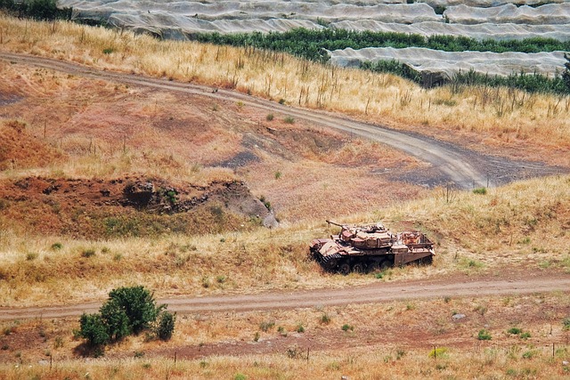 Au Liban, Israël pointé du doigt pour un « écocide » : forêts ravagées et sols empoisonnés