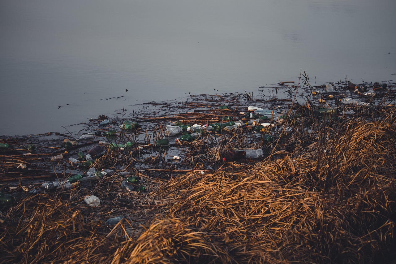 L’impact des déchets plastiques sur nos océans et solutions innovantes