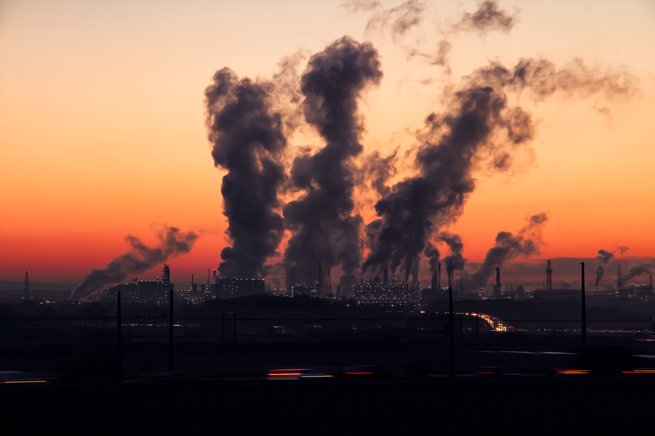 lancement d’une campagne de sensibilisation pour lutter contre la pollution sonore en mer du Nord