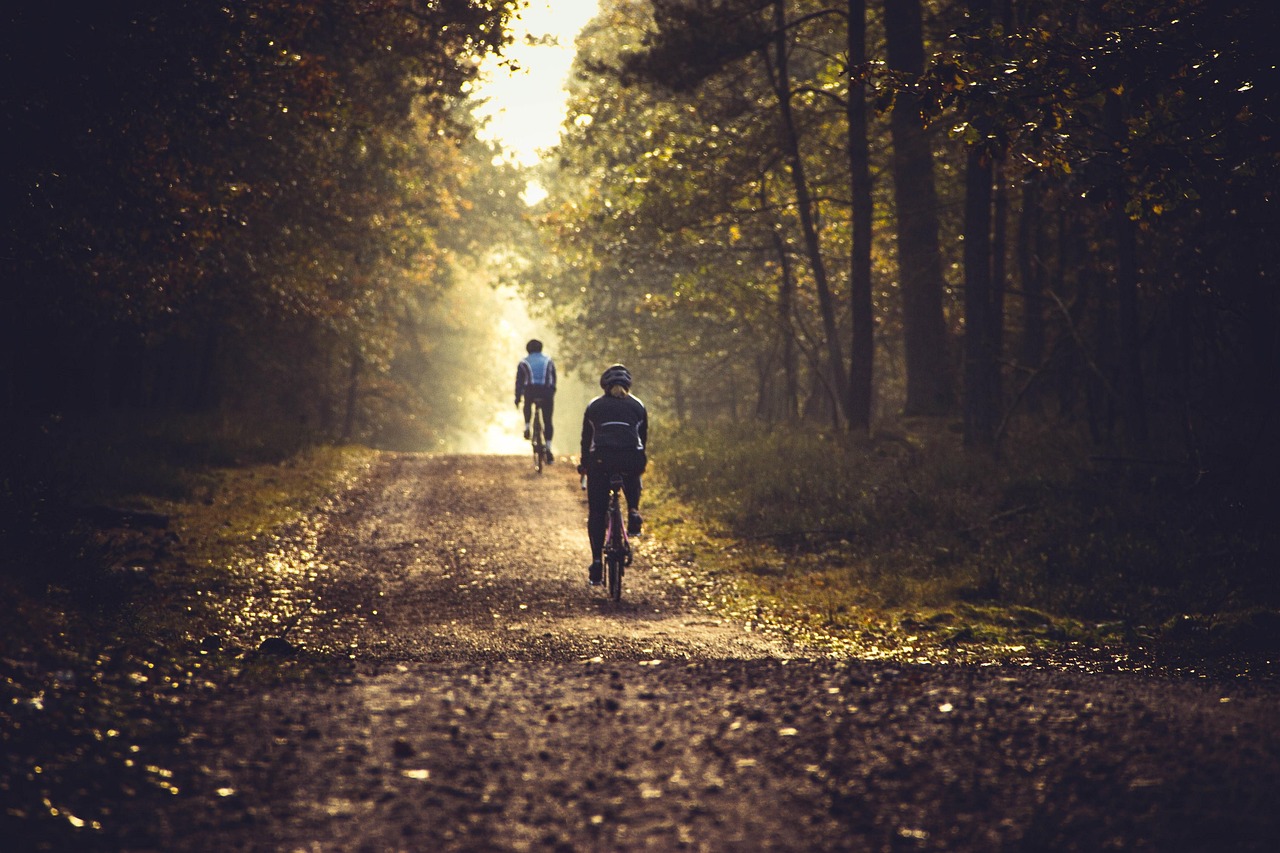 Plaisance-du-Touch célèbre la reine des routes lors de sa 2e bourse aux vélos