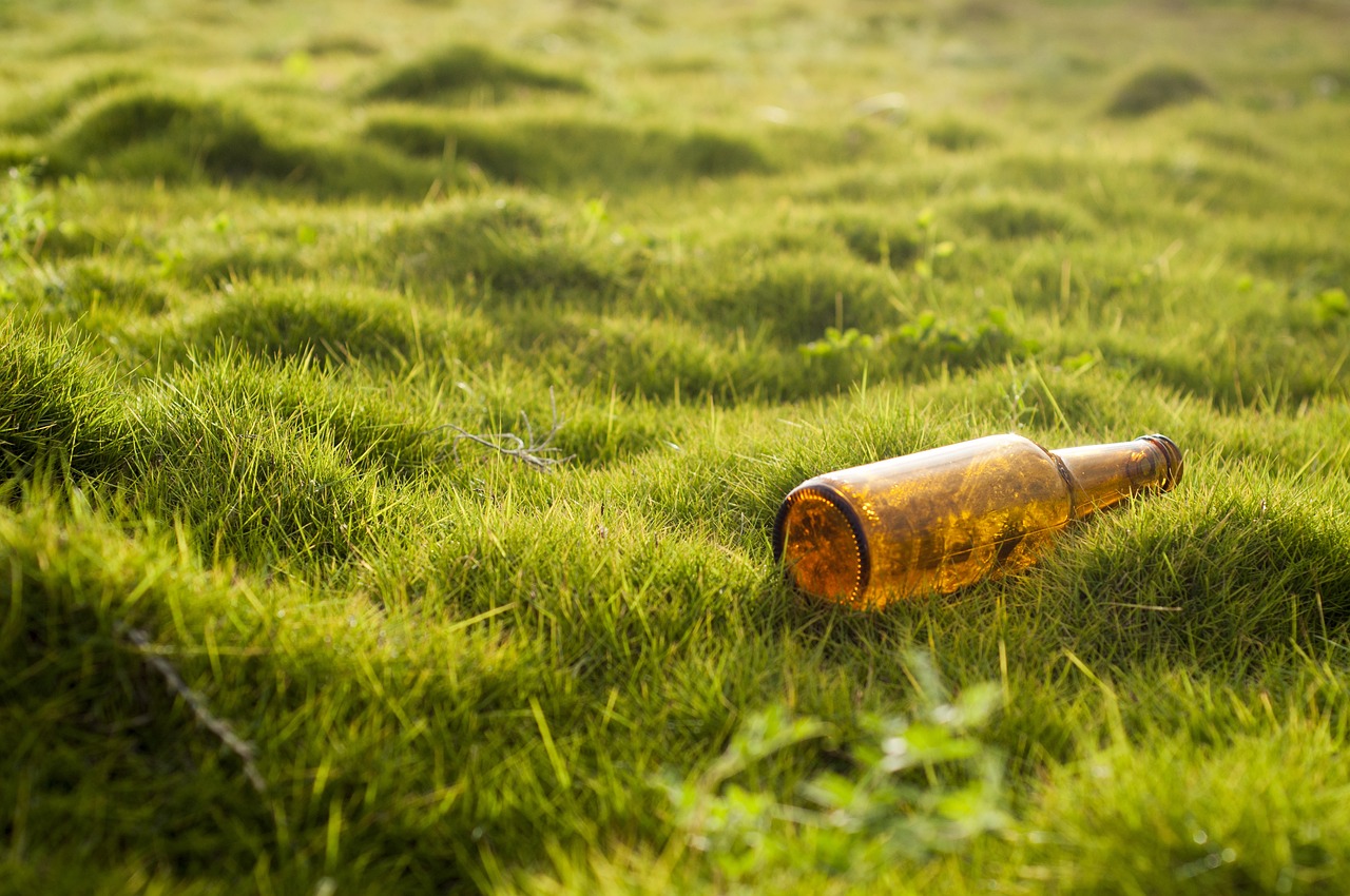 Ateliers de sensibilisation environnementale à Pluzunet : Découverte de deux fresques sur le climat
