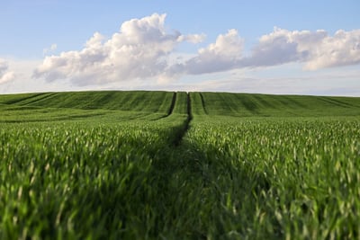 Agriculture : mise en place d’une coordination départementale pour renforcer les contrôles par le gouvernement