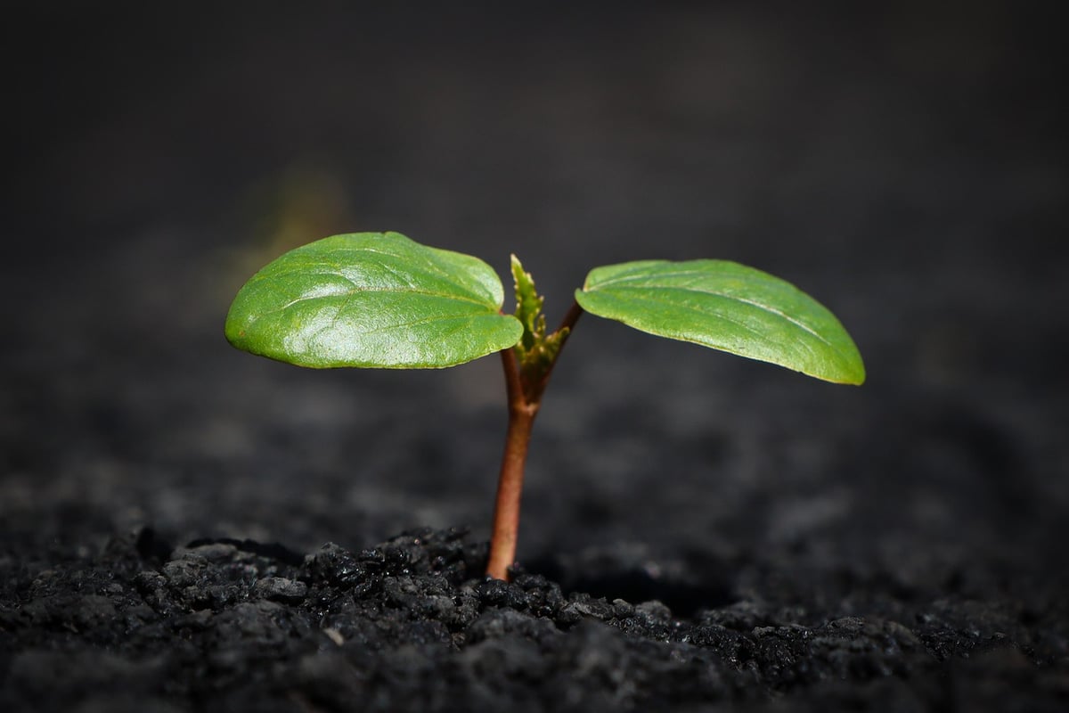 Érosion du sol : comprendre ses causes et ses conséquences sur l’environnement