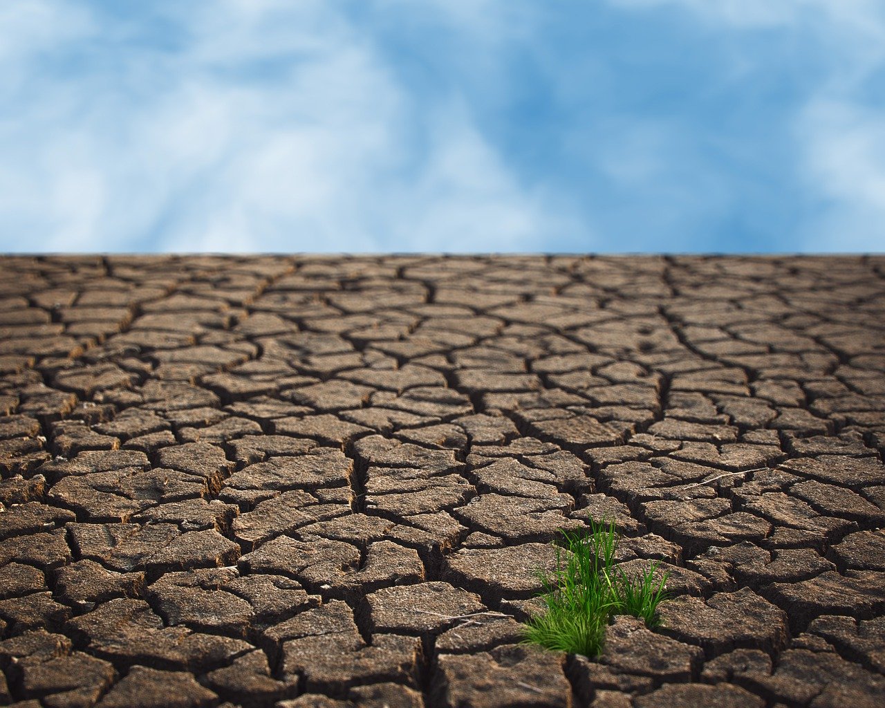 l’impact dévastateur du changement climatique sur l’Afrique et les défis liés à l’adaptation