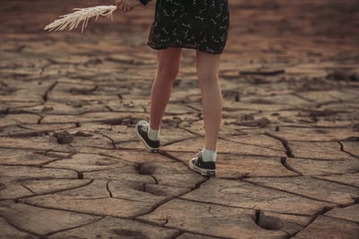 Vague exceptionnelle de douceur : jusqu’à 22°C prévus, le réchauffement climatique se manifeste au quotidien